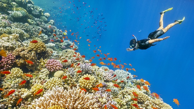 Snorkeling ad Hurgada | Tour Egitto