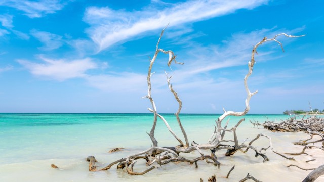 Spiaggia di Cayo Levisa | Tour Cuba