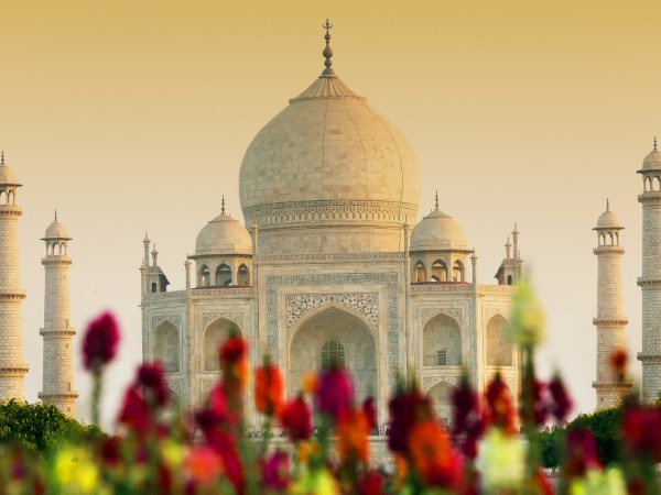 Innamorarsi del Taj Mahal all'alba