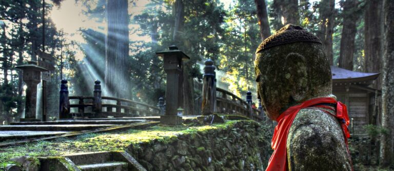 Tour Giappone Special