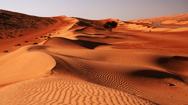 Wahiba Sands | Tour Oman