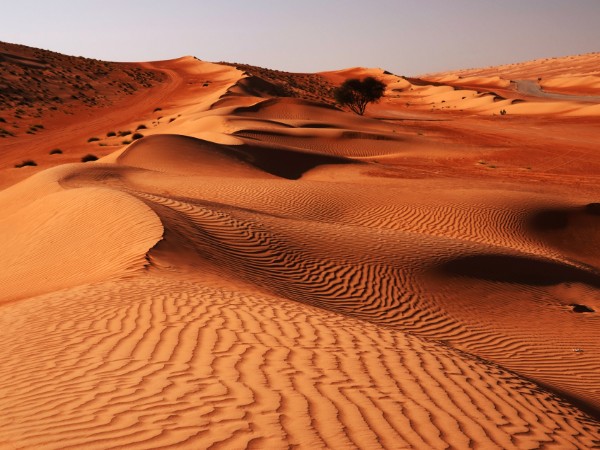 Avventuarsi in fuoristrada nel deserto del Wahiba Sands