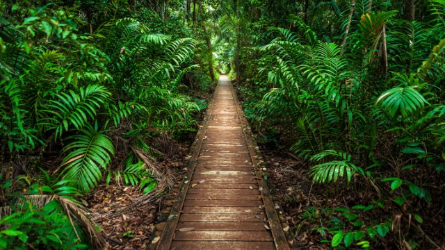 Kuching Bako National Park