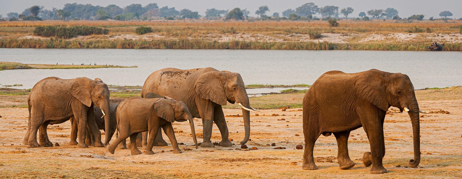Botswana, cosa vedere