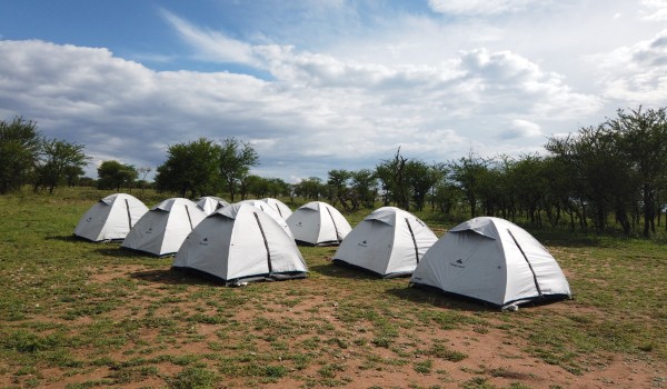 Tende nel Serengeti | Safari Tanzania