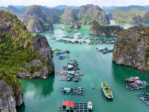 Ammirare i paesaggi carsici della Baia di Halong