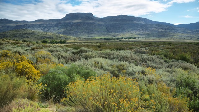 Cederberg | Tour Sudafrica e Namibia