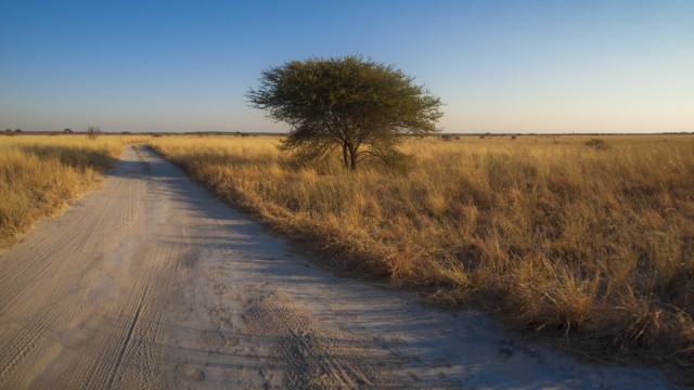 Central Kalahari Game Reserve | Safari in Botswana
