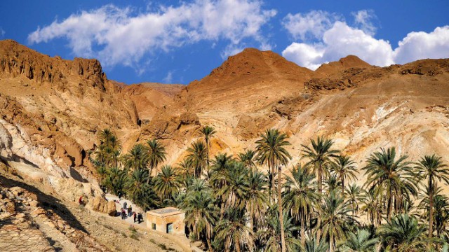 Oasi di montagna di Chebika | Tour Tunisia
