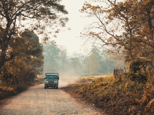 Safari nel famoso Parco Nazionale di Chitwan