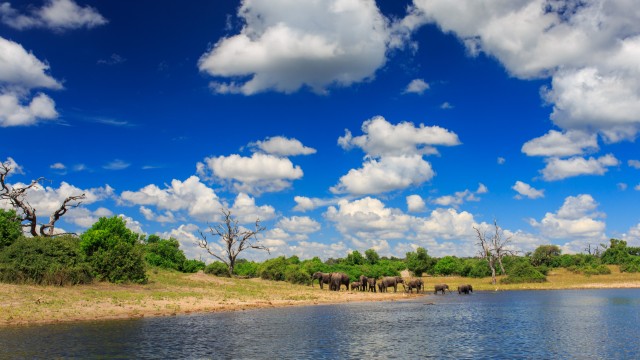 Chobe River