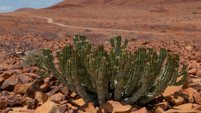 Damaraland | Namibia Viaggi