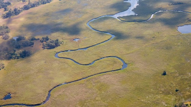 Delta Okavango