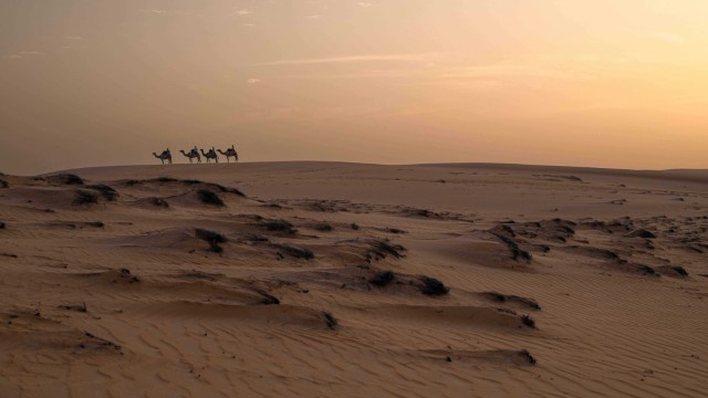 Désert de Lompoul | Tour Senegal