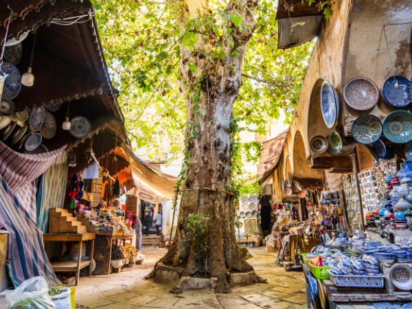 Girovagare per le viuzze della bellissima medina di Fes