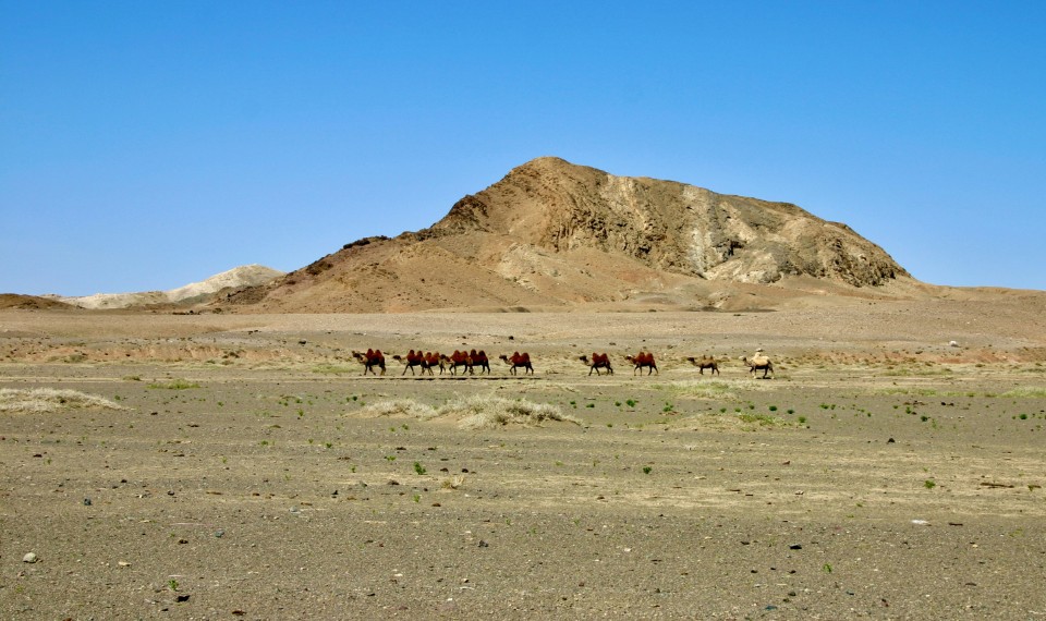 Deserto del Gobi, Mongolia | Viaggio sulla Via della Seta