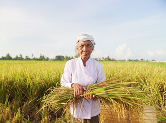 Donna in un campo di riso a Bali, Indonesia | La nostra filosofia