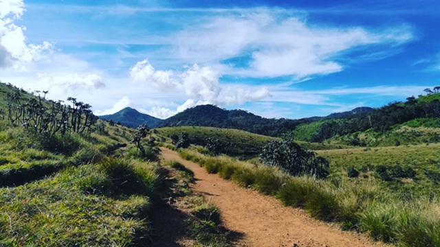Sentiero nell'Horton Plains National Park | Tour Sri Lanka