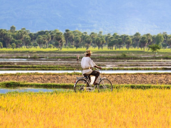 Pedalare tra le risaie del Mekong