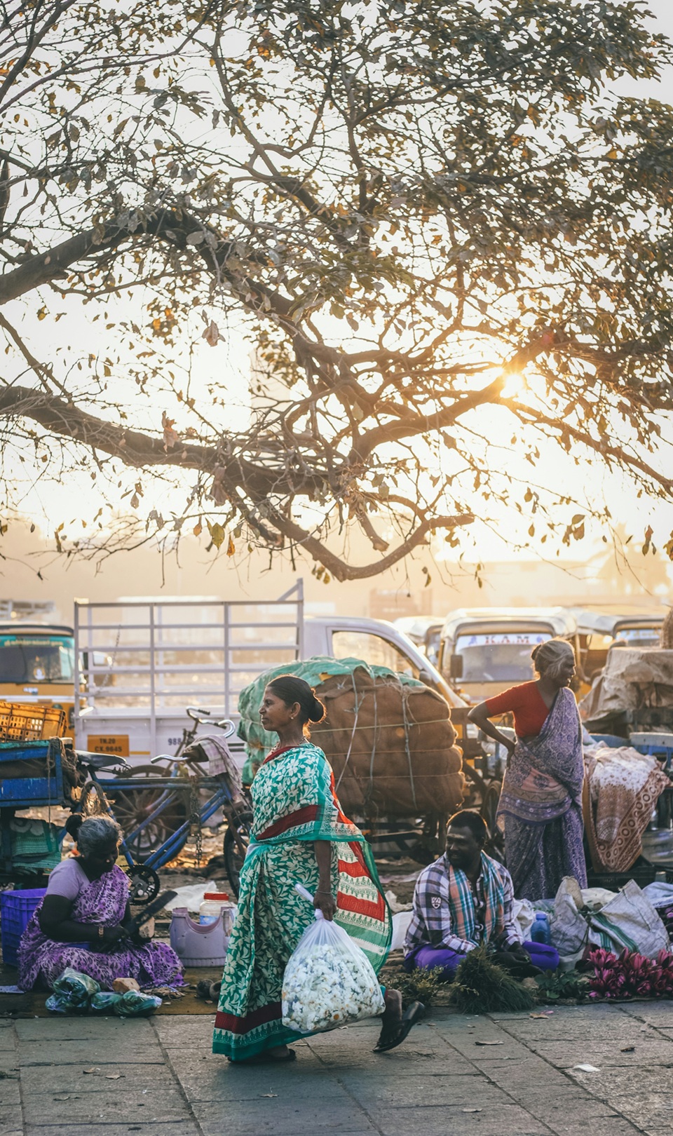 Jaipur | Cosa vedere in India