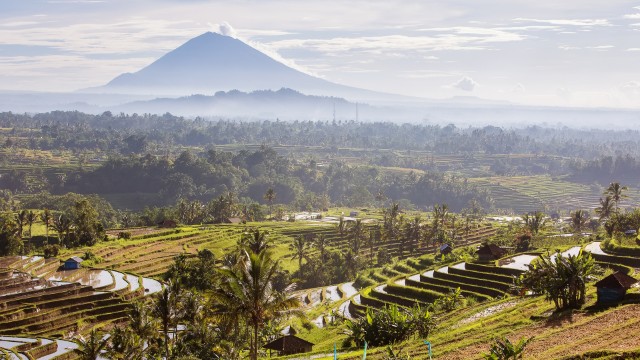 Risaie di Jatiluwih | Itinerario Indonesia 2 settimane
