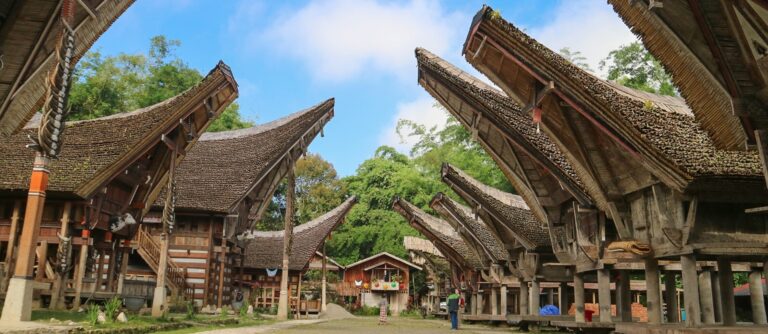 Kalimantan e Sulawesi | Itinerario Indonesia 3 settimane