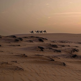 Deserto di Lompoul | Viaggiare in Senegal