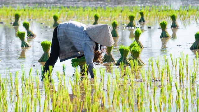Mai Chau | Vietnam Viaggio
