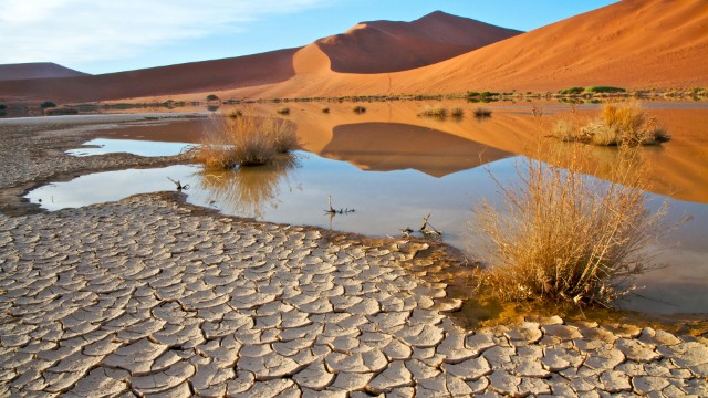 Namib Desert