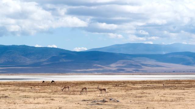 La vasta caldera di Ngorongoro