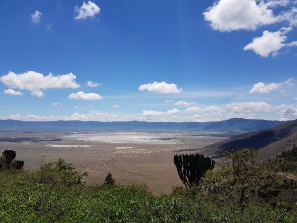 Osservare la maestosità del Ngorongoro