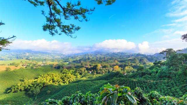 Paesaggi colombiani | Viaggio in Colombia