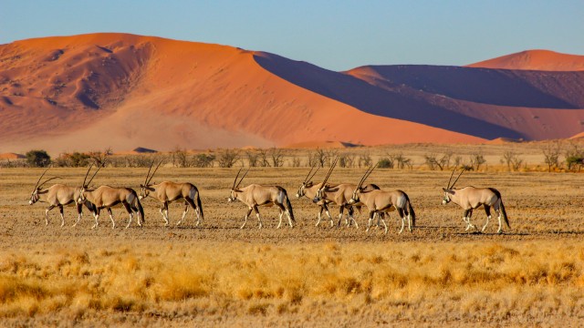 Paesaggi Namib Desert | Namibia Viaggi