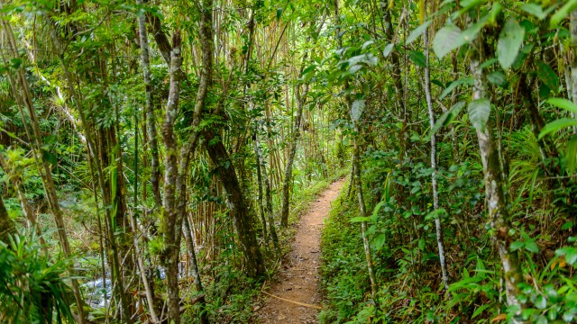 Parque Guanayara | Tour Cuba