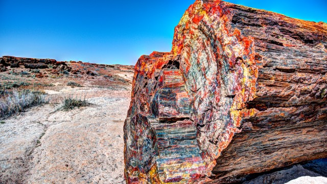 Petrified Forest NP | Route 66