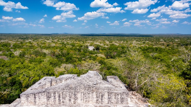 Calakmul | Messico On The Road