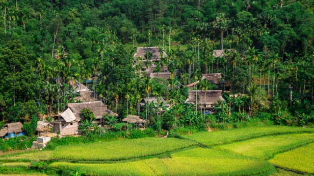 Riserva di Pu Luong | Tour Vietnam