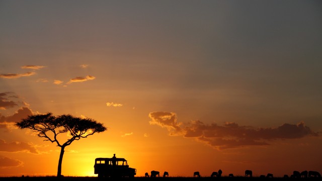 Ammirare il tramonto nel Serengeti