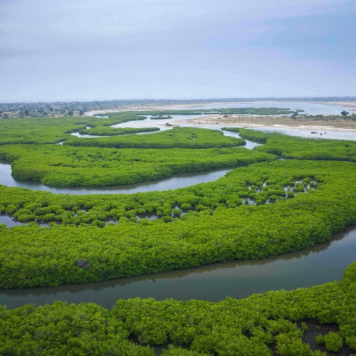 Delta del Saloum | Viaggiare in Senegal