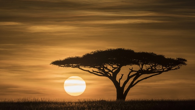 Serengeti National Park | Safari Tanzania