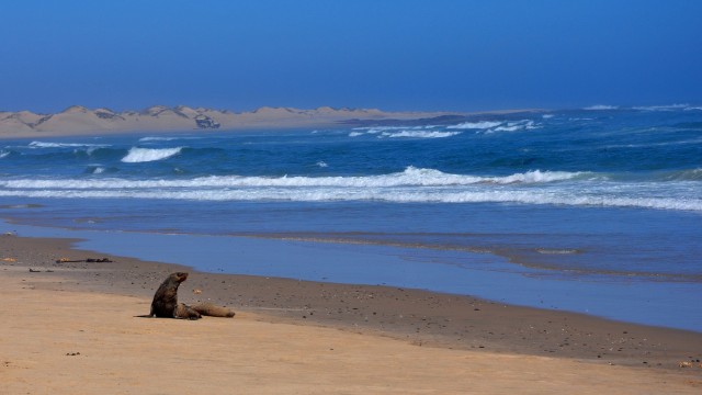 Skeleton Coast