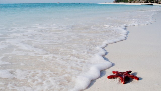 Acqua cristallina delle spiagge di Zanzibar