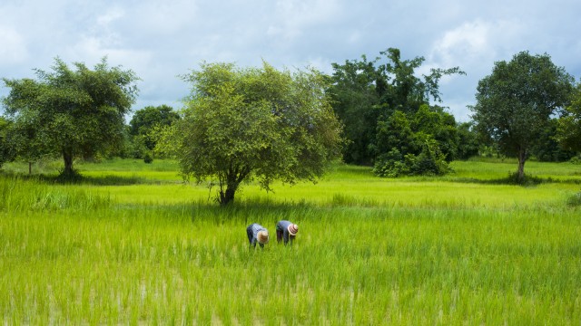 Dintorni di Battambang | Viaggio Vietnam e Cambogia