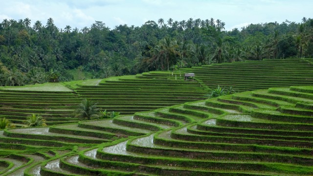 Tabanan | Viaggio a Bali
