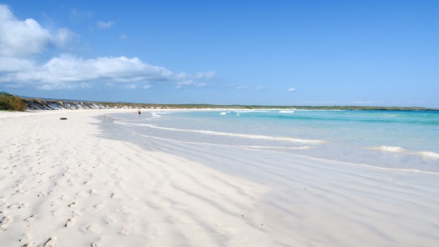 Isola Santa Cruz, Galapagos