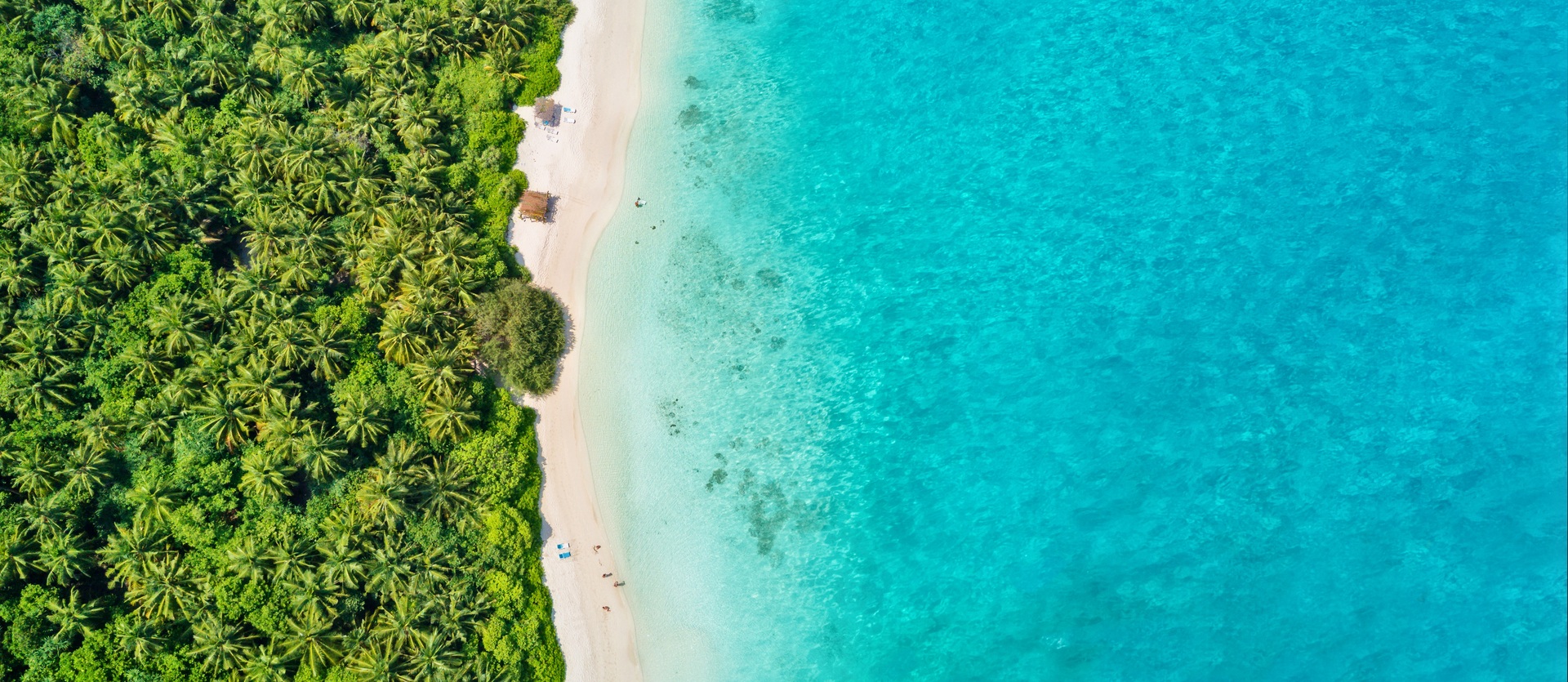 Tour Maldive Original