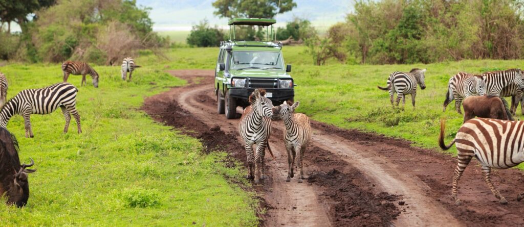 Tour Tanzania Express | Safari Tanzania