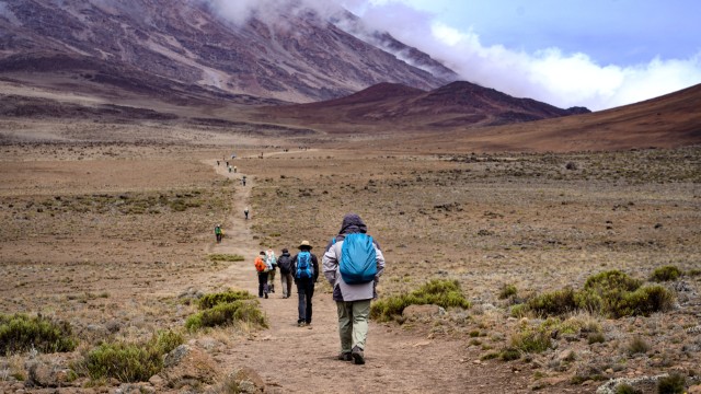 Trekking Kilimanjaro