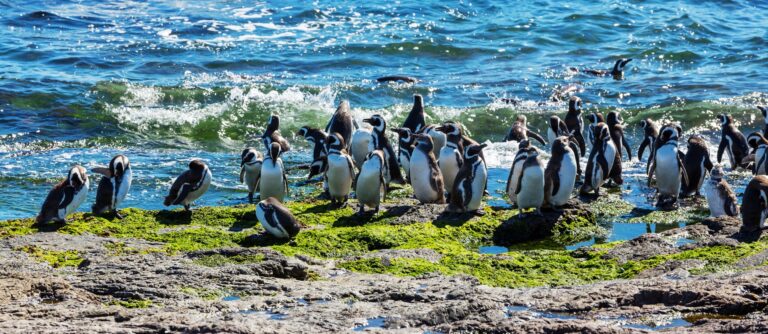 Argentina Sur | Viaggio in Argentina