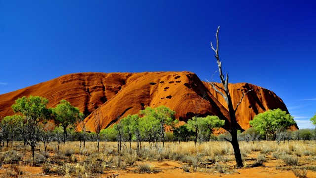 Ayers Rock | Viaggio di Nozze in Australia